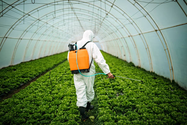 Best Local Pest Control Services  in Tarpey Village, CA