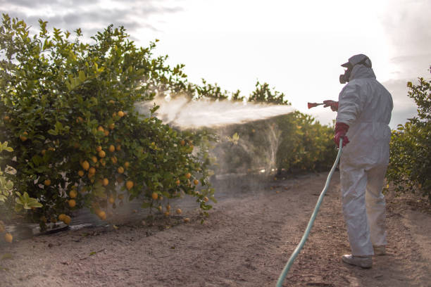 Best Residential Pest Control  in Tarpey Village, CA